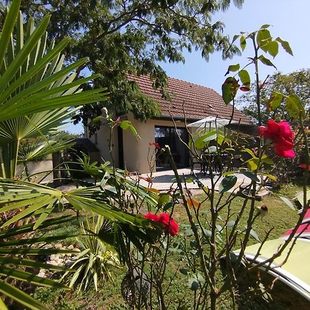 L'Albizia Gite Climatise St Maurice Saint-Maurice-en-Riviere Eksteriør billede