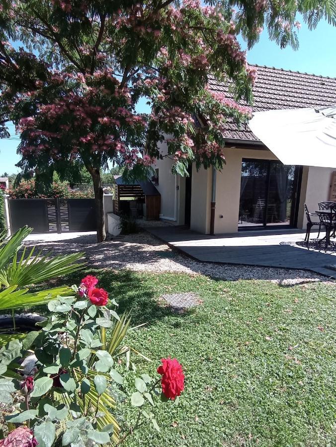 L'Albizia Gite Climatise St Maurice Saint-Maurice-en-Riviere Eksteriør billede