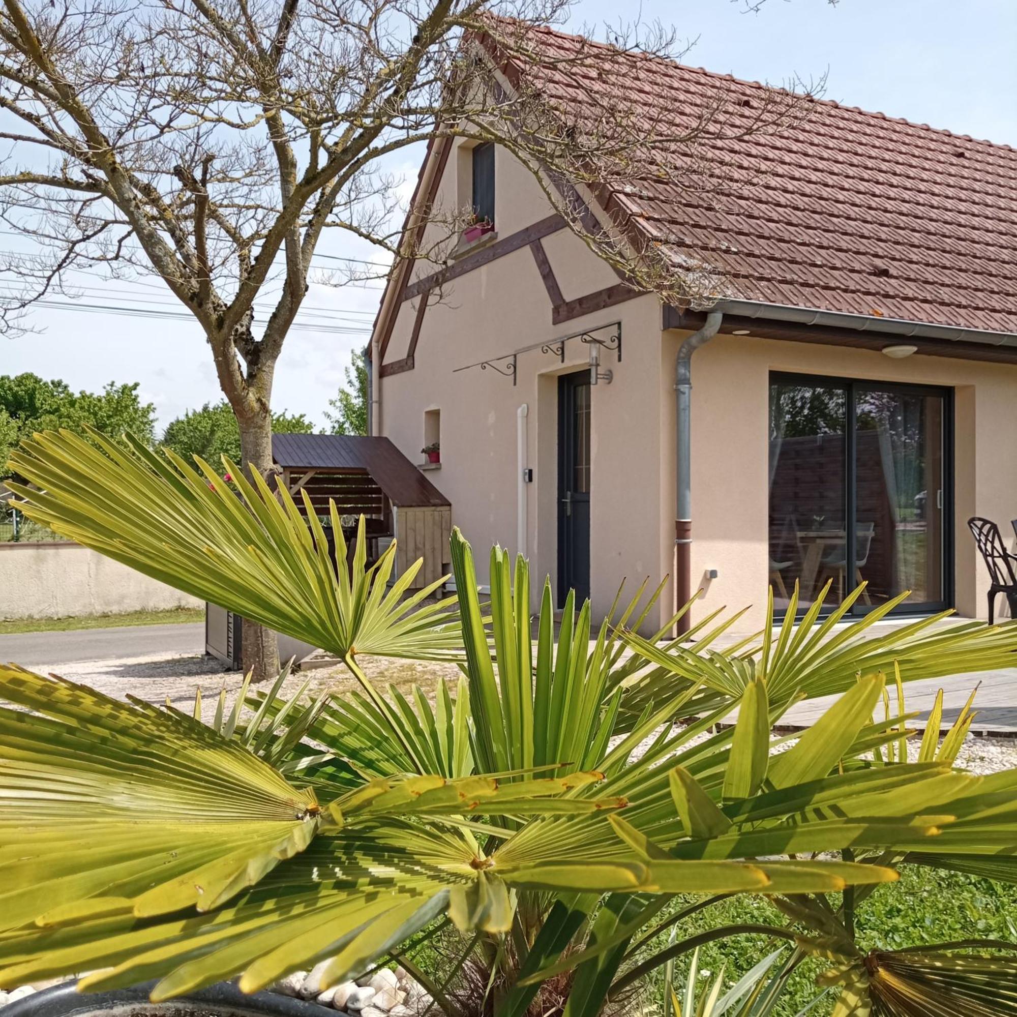 L'Albizia Gite Climatise St Maurice Saint-Maurice-en-Riviere Eksteriør billede