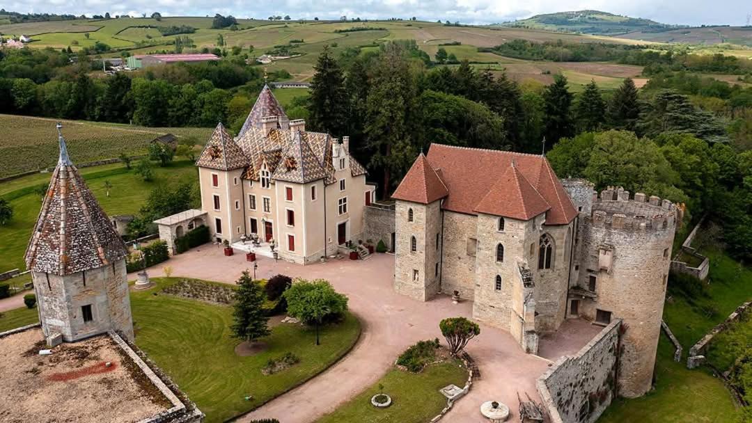 L'Albizia Gite Climatise St Maurice Saint-Maurice-en-Riviere Eksteriør billede