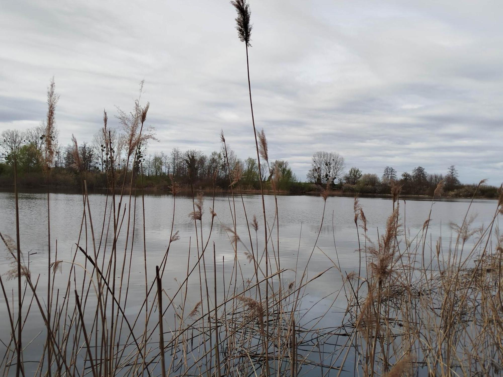 L'Albizia Gite Climatise St Maurice Saint-Maurice-en-Riviere Eksteriør billede